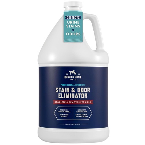 Rocco roxie enzyme stain - rocco,